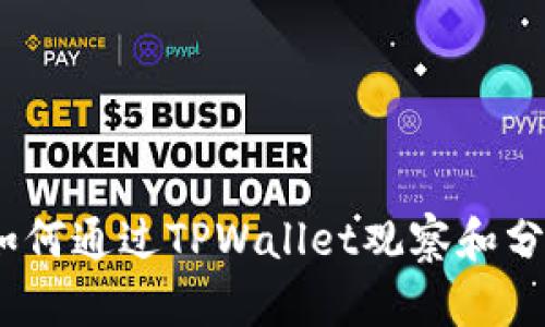 深入解析：如何通过TPWallet观察和分析市场动态