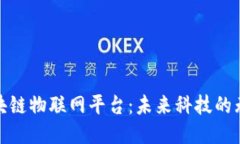 探秘区块链物联网平台：未来科技的无缝连接