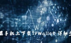 如何在苹果手机上下载TPWallet：详细步骤与技巧