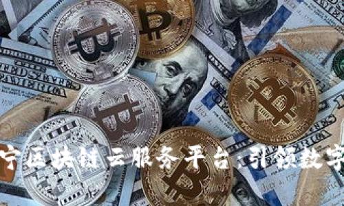全面解析苏宁区块链云服务平台：引领数字经济新时代