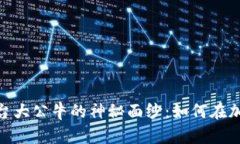 揭开区块链交易平台大公牛的神秘面纱：如何在