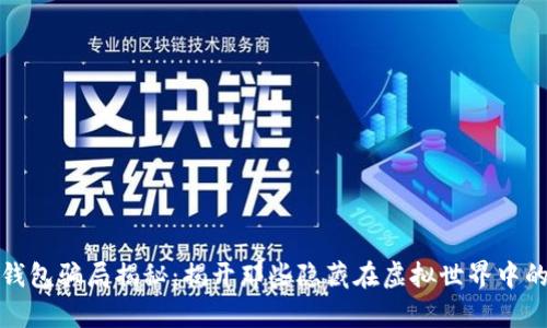 数字钱包骗局揭秘：揭开那些隐藏在虚拟世界中的真相