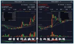 探索首码区块链平台的魅力与机遇