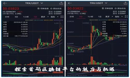 探索首码区块链平台的魅力与机遇