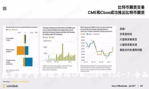 提升数字资产管理效率的TPWallet BSC-1：全面解析