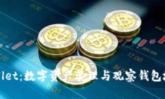 深入了解TPWallet：数字资产管理与观察钱包地址的