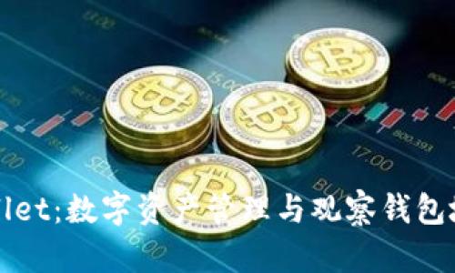 深入了解TPWallet：数字资产管理与观察钱包地址的全新体验