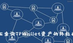 轻松查询TPWallet资产的终极指南