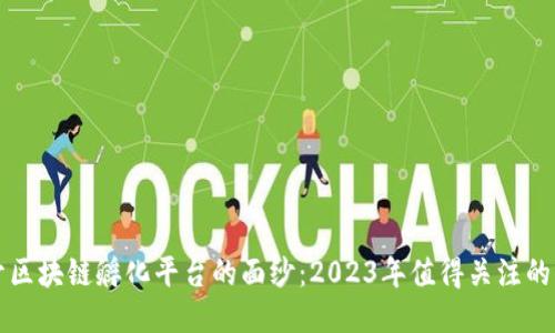 揭开区块链孵化平台的面纱：2023年值得关注的公司