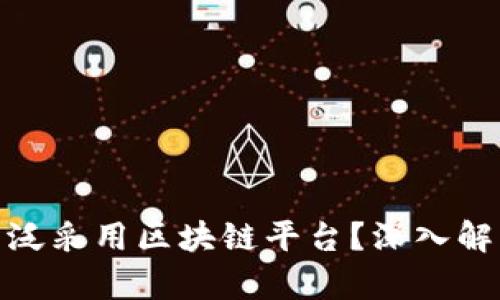 企业为何未广泛采用区块链平台？深入解析及应对策略