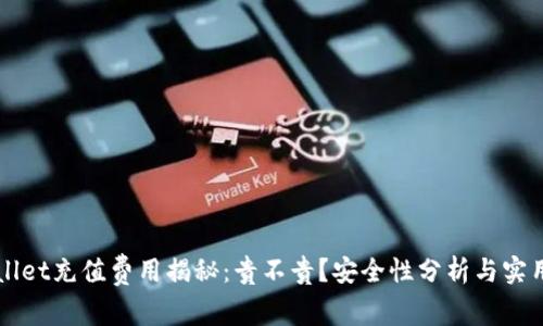 TPWallet充值费用揭秘：贵不贵？安全性分析与实用指南