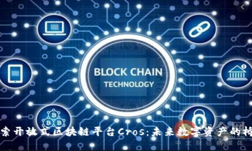 探索开放式区块链平台Cros：未来数字资产的桥梁