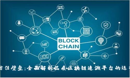 打破信任壁垒：全面解析品质区块链追溯平台的运营模式