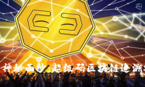 揭开区块链神秘面纱：超级码区块链追溯SaaS云平台