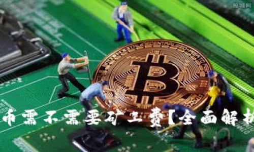 TPWallet充币需不需要矿工费？全面解析与实用指南