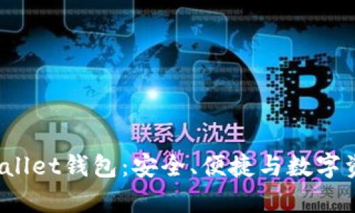 全面解析BitWallet钱包：安全、便捷与数字资产管理的未来