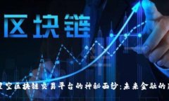 揭开星空区块链交易平台的神秘面纱：未来金融
