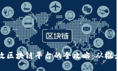 构建高效区块链平台的全攻略：从概念到实现