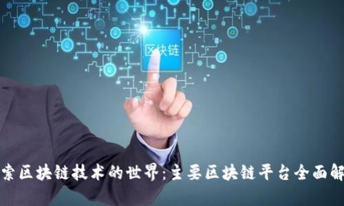 探索区块链技术的世界：主要区块链平台全面解析