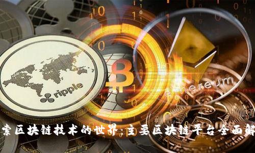 探索区块链技术的世界：主要区块链平台全面解析