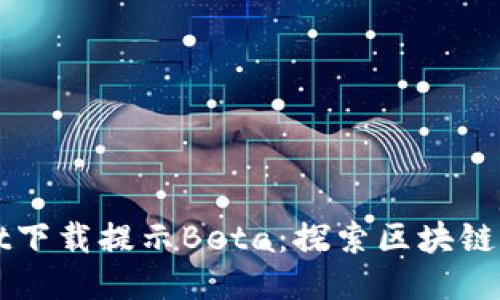 : TPWallet下载提示Beta：探索区块链钱包的未来