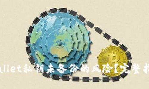 如何应对TPWallet私钥未备份的风险？完整指南与解决方案
