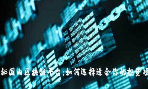 揭秘国内区块链平台：如何选择适合你的投资项目