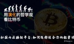 揭秘国内区块链平台：如何选择适合你的投资项