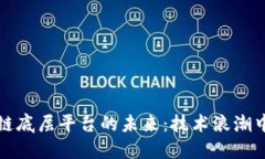 中国区块链底层平台的未来：技术浪潮中的新机