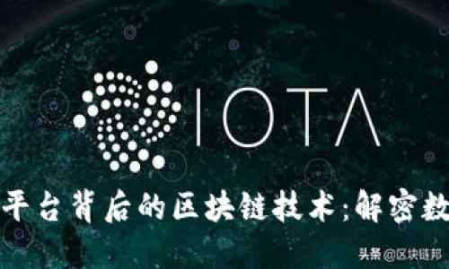 探索各大数藏平台背后的区块链技术：解密数字收藏的未来