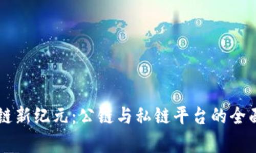 区块链新纪元：公链与私链平台的全面解析