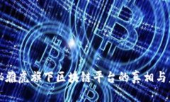 揭秘雅虎旗下区块链平台的真相与未来