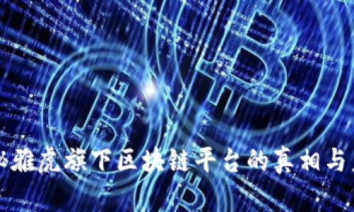 揭秘雅虎旗下区块链平台的真相与未来