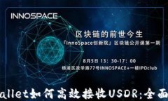 TPWallet如何高效接收USDR：全面指南