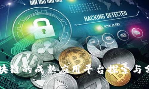 区块链的成熟应用平台探索与分析
