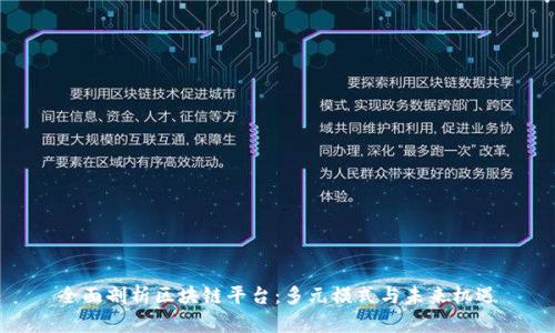 全面剖析区块链平台：多元模式与未来机遇