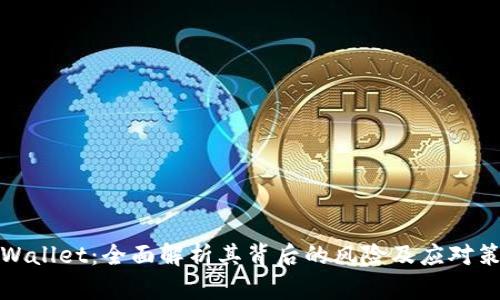 TPWallet：全面解析其背后的风险及应对策略