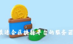 如何选择最适合区块链平台的服务器：全面指南
