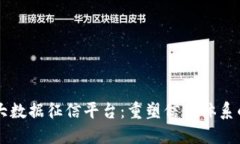 区块链大数据征信平台：重塑信用体系的新未来