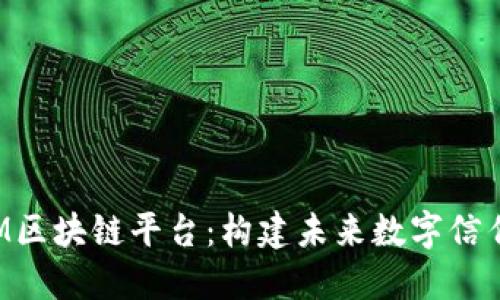 探索IBM区块链平台：构建未来数字信任的基石