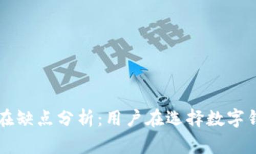 TPWallet桌面版的潜在缺点分析：用户在选择数字钱包时需要注意的事项