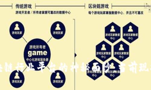揭开中国区块链行业平台的神秘面纱：当前现状与未来发展