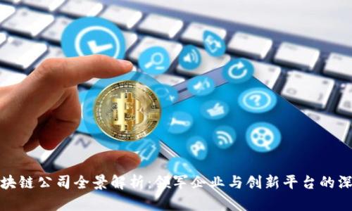 深圳区块链公司全景解析：领军企业与创新平台的深度探讨