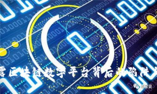 : 揭露区块链数字平台背后的陷阱与骗局