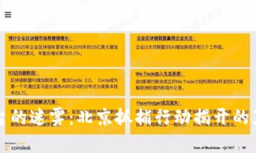 区块链平台的迷雾：北京抓捕行动揭开的真相与隐忧