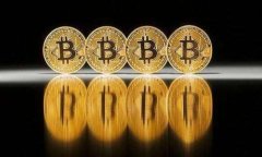 揭开全球区块链众筹平台的面纱：哪个是最佳选