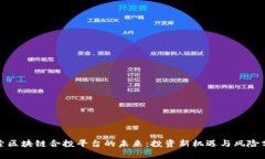 探索区块链合投平台的未来：投资新机遇与风险