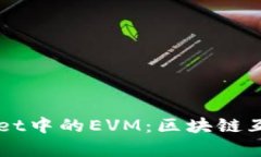 深入解析TPWallet中的EVM：区块链互操作性的新纪元