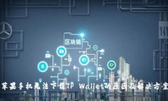 苹果手机无法下载TP Wallet的原因及解决方案