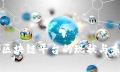 审计局区块链平台的现状与未来展望